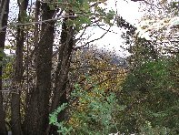 Monte Fior di Cosimo